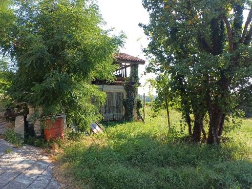 immagine annuncio 5 di 11