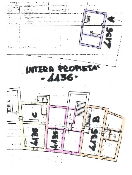 immagine annuncio 5 di 6