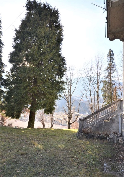 immagine annuncio 12 di 14