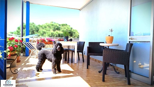 Foto Appartamento in viale italia 60, Lignano Sabbiadoro di 190 m²