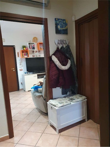 immagine annuncio 5 di 14