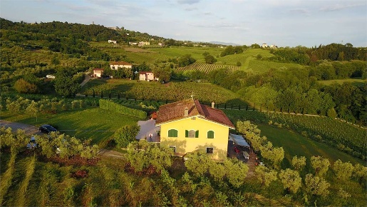 Foto Villa unifamiliare in Via di montecarlo, Montecarlo in vendita