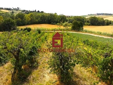 Foto Villa bifamiliare a Rimini di 439 m² in vendita