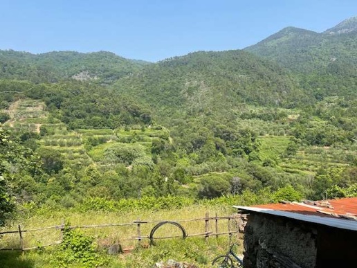 immagine annuncio 10 di 12