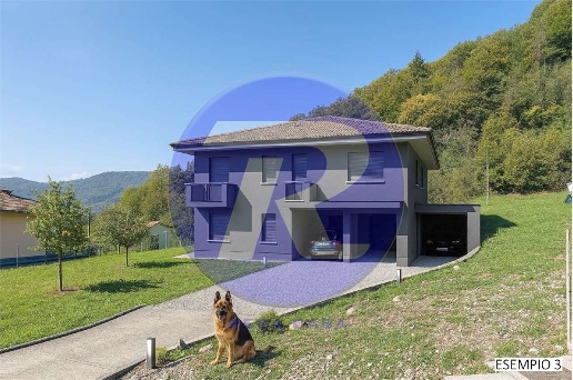 immagine annuncio 12 di 13