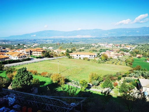immagine annuncio 11 di 12