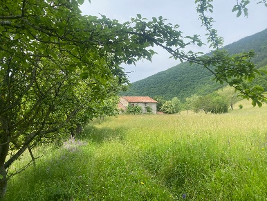 Foto Appartamento in Via santa maria di bobbio 4, Bobbio in vendita