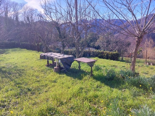 immagine annuncio 4 di 13