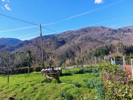 immagine annuncio 5 di 13