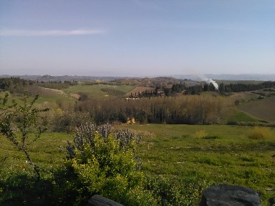 Foto Casa indipendente a Montaione di 800 m² con 12 locali in vendita