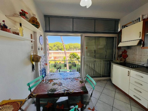 immagine annuncio 6 di 14