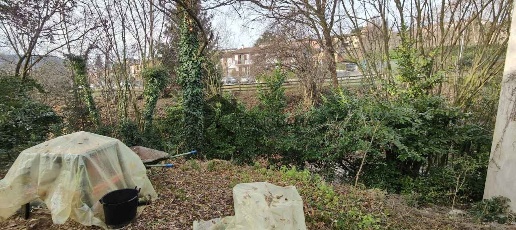 immagine annuncio 12 di 14