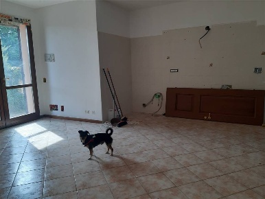 Foto Appartamento in Via San Martino 123, Carpineti in vendita