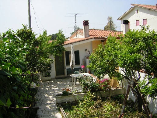 immagine annuncio 1 di 14