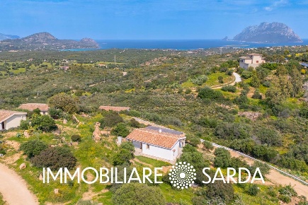 Foto Villa unifamiliare in Loc. Tiriddò, Loiri Porto San Paolo in vendita
