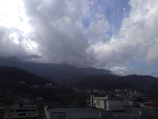 immagine annuncio 3 di 14