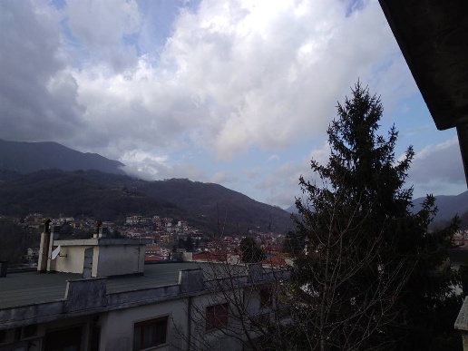 immagine annuncio 10 di 14
