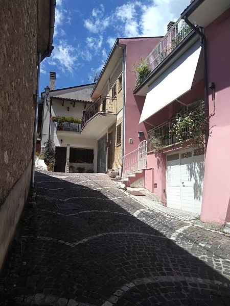 immagine annuncio 5 di 11