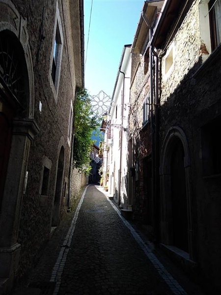 immagine annuncio 11 di 14
