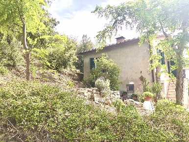 Foto Appartamento a Civitella Paganico di 75 m² con 5 locali in vendita