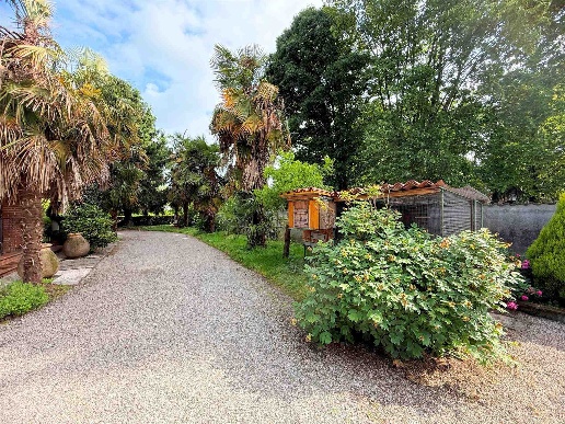 immagine annuncio 11 di 15