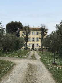 Foto Villa unifamiliare a Fauglia di 1200 m² con 30 locali in vendita
