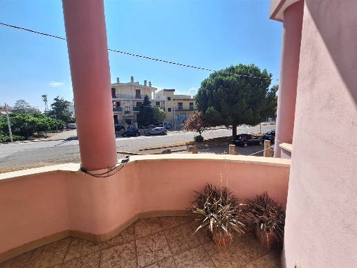 immagine annuncio 12 di 13