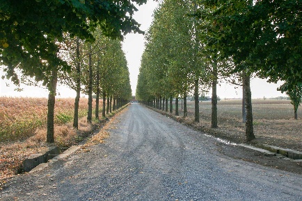 Foto Villa unifamiliare in tenuta santo stefano, Sale di 1500 m² in vendita