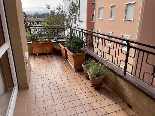 immagine annuncio 12 di 14