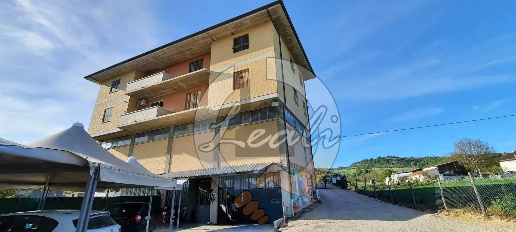 immagine annuncio 3 di 8