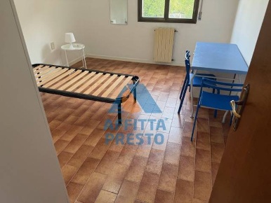 Foto Appartamento a Empoli in affitto