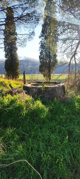 immagine annuncio 2 di 8