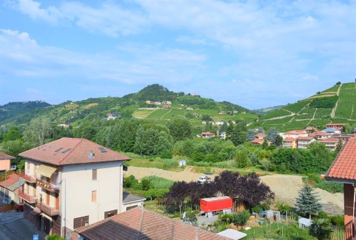 immagine annuncio 11 di 14