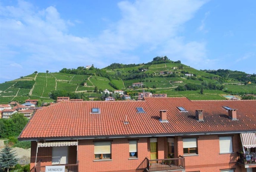 immagine annuncio 12 di 14