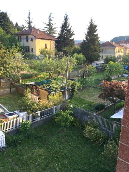 immagine annuncio 2 di 8