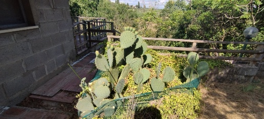 Foto Villa unifamiliare a Lucignano di 70 m² con 3 locali in vendita
