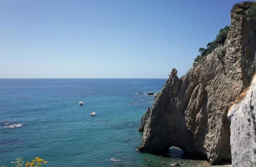 immagine annuncio 1 di 3