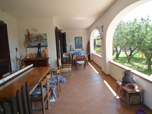 immagine annuncio 5 di 12