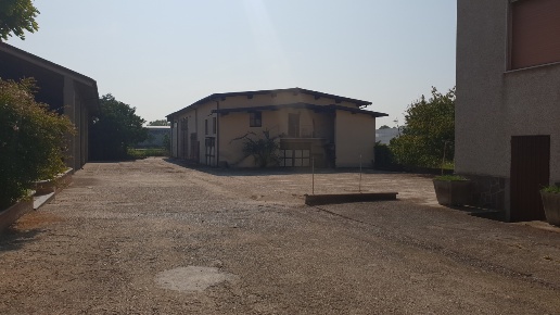 immagine annuncio 3 di 7