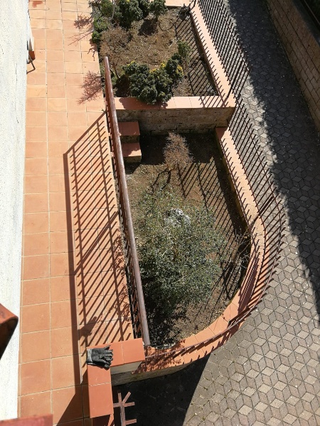 immagine annuncio 3 di 8