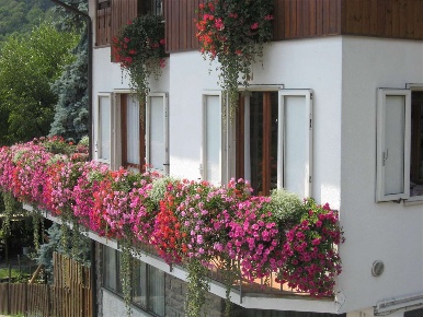 Foto Villa unifamiliare in Via Roma  5, Centro Valle Intelvi di 240 m²