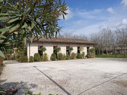 immagine annuncio 2 di 4