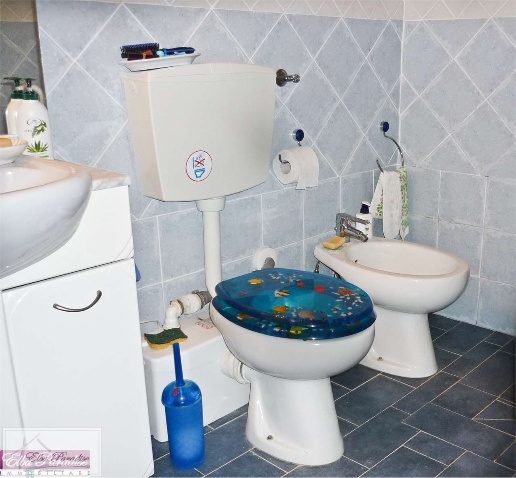 immagine annuncio 7 di 9