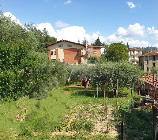immagine annuncio 3 di 11