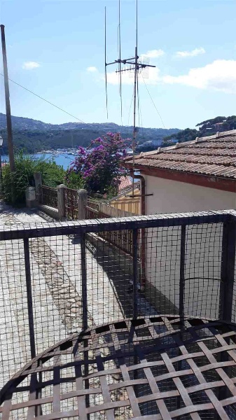immagine annuncio 6 di 14