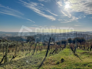 Foto Villa bifamiliare a Monte Roberto di 160 m² con 8 locali in vendita
