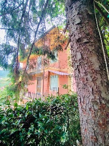 Foto Villa bifamiliare a Sarzana in vendita