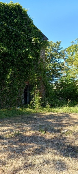 immagine annuncio 2 di 9