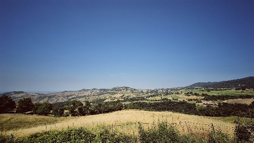 immagine annuncio 9 di 14