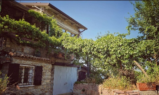 immagine annuncio 11 di 14